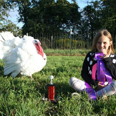 Wisconsin family operated turkey farm