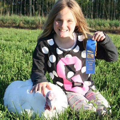 Award winning Wisconsin white turkey
